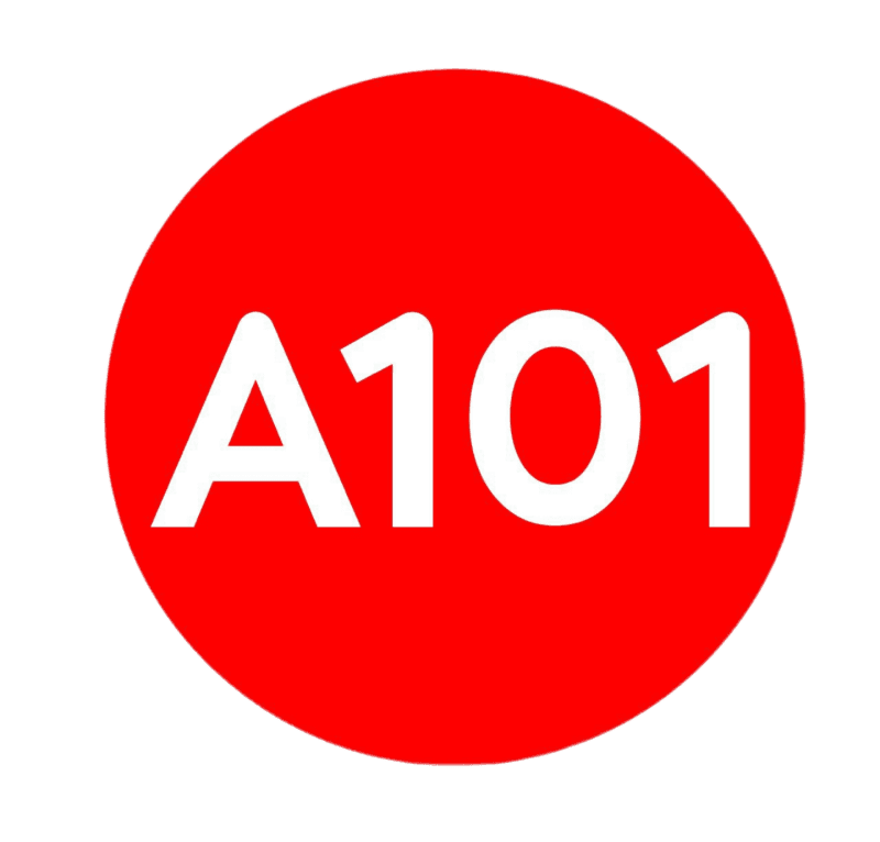 А101